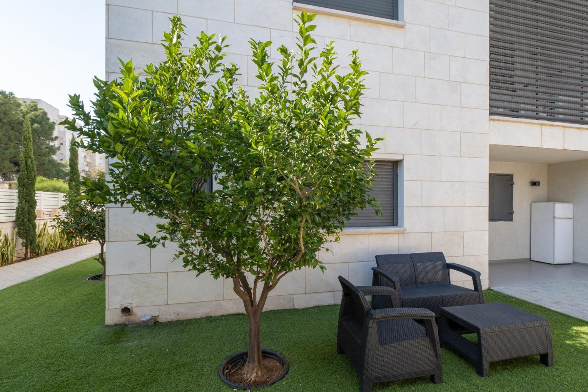 Balfour Sea View City Center Nehariya Dış mekan fotoğraf